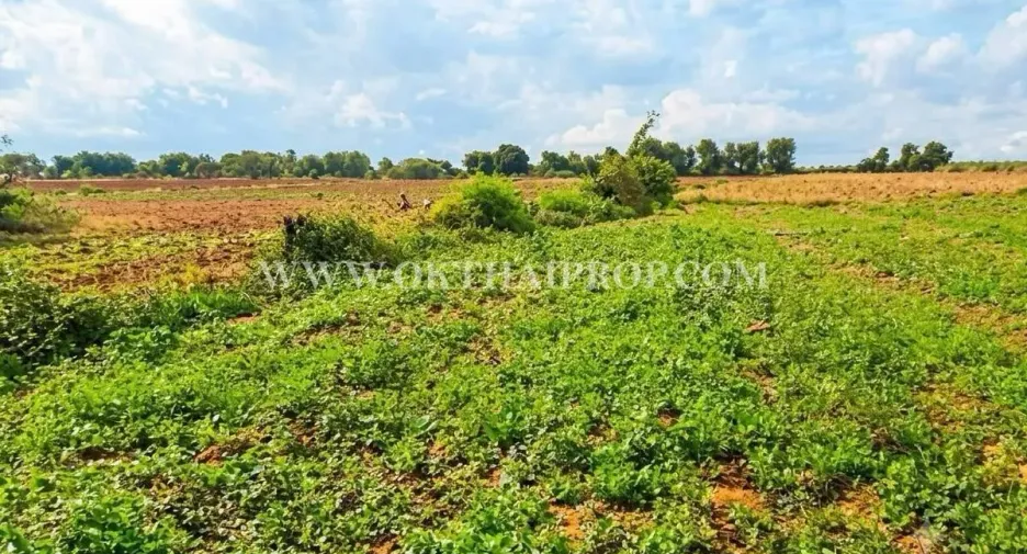 À vendre terrain à Dan Khun Thot, Nakhon Ratchasima