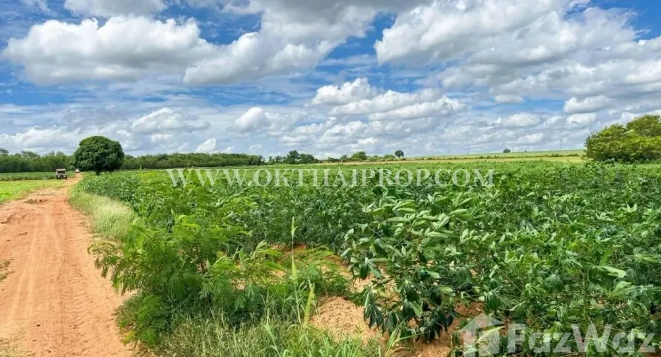 À vendre terrain à Dan Khun Thot, Nakhon Ratchasima