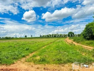 À vendre terrain à Dan Khun Thot, Nakhon Ratchasima