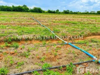 À vendre terrain à Dan Khun Thot, Nakhon Ratchasima