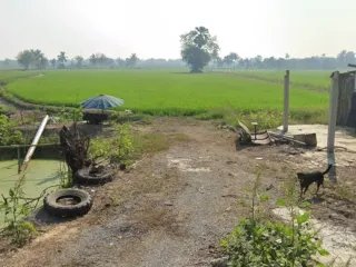 For sale land in Nakhon Chai Si, Nakhon Pathom