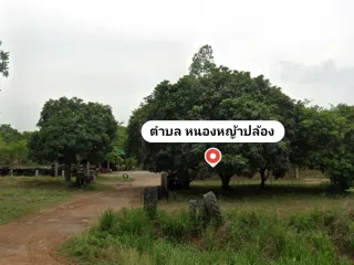 For sale land in Nong Ya Plong, Phetchaburi