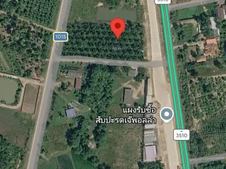 For sale land in Nong Ya Plong, Phetchaburi