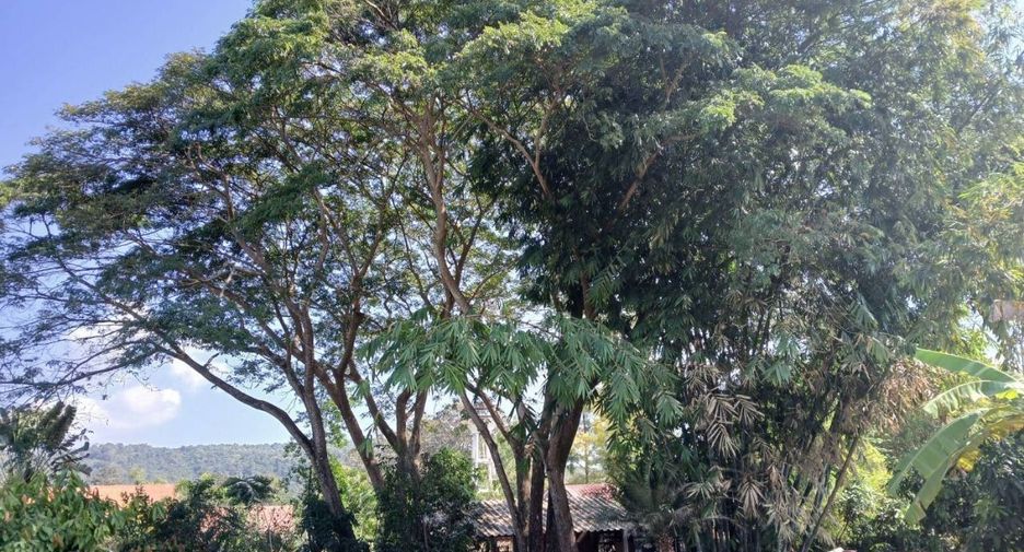 Villa zum Kauf mit 3 Zimmer in Mae Taeng, Chiang Mai