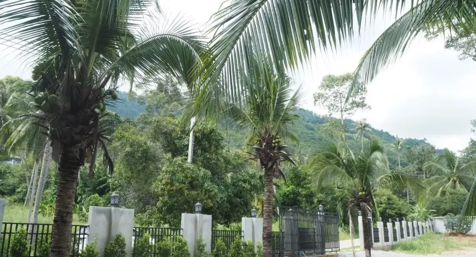 For rent 1 bed house in Ko Samui, Surat Thani