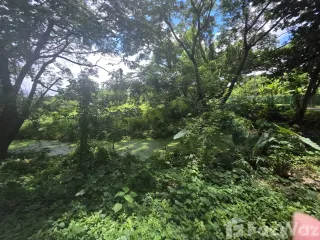 For sale land in Saraphi, Chiang Mai