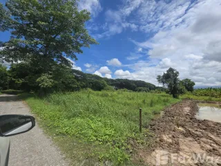 For sale land in Saraphi, Chiang Mai