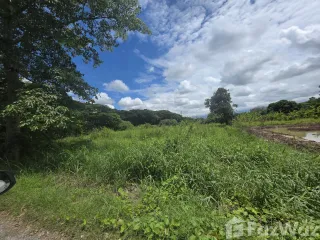 For sale land in Saraphi, Chiang Mai