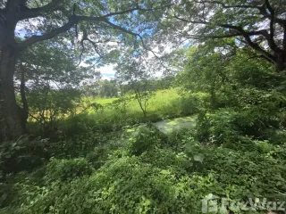 For sale land in Saraphi, Chiang Mai