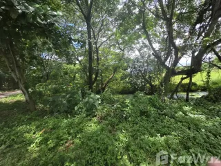 For sale land in Saraphi, Chiang Mai
