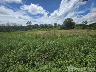 For sale land in Saraphi, Chiang Mai