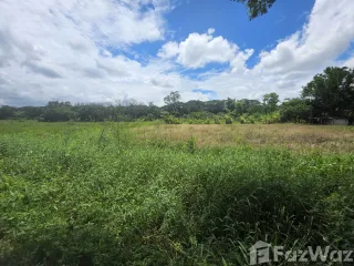 For sale land in Saraphi, Chiang Mai