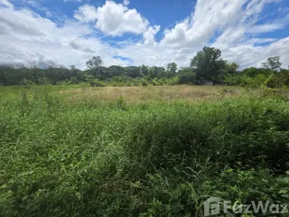 For sale land in Saraphi, Chiang Mai