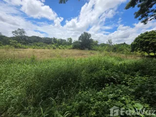 For sale land in Saraphi, Chiang Mai
