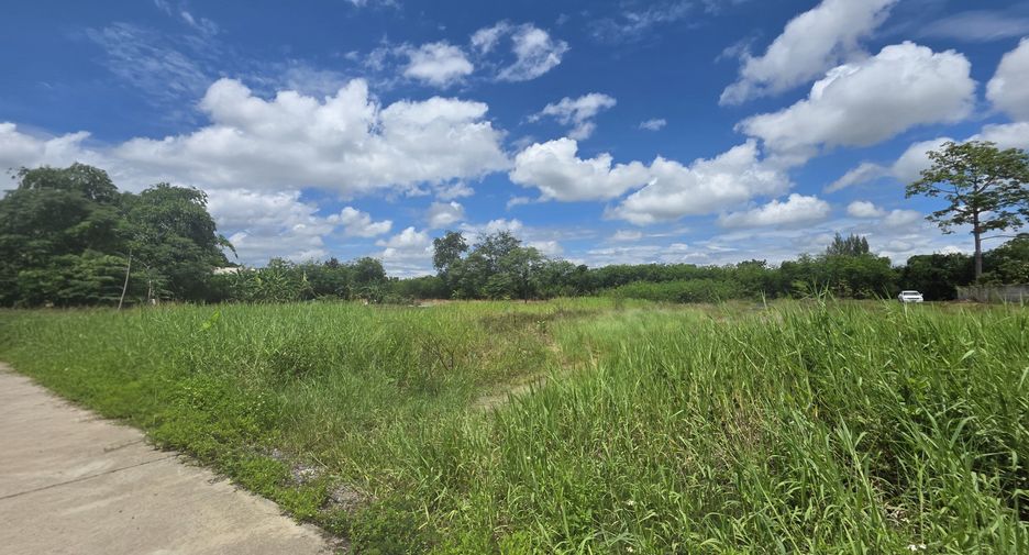For sale land in Saraphi, Chiang Mai