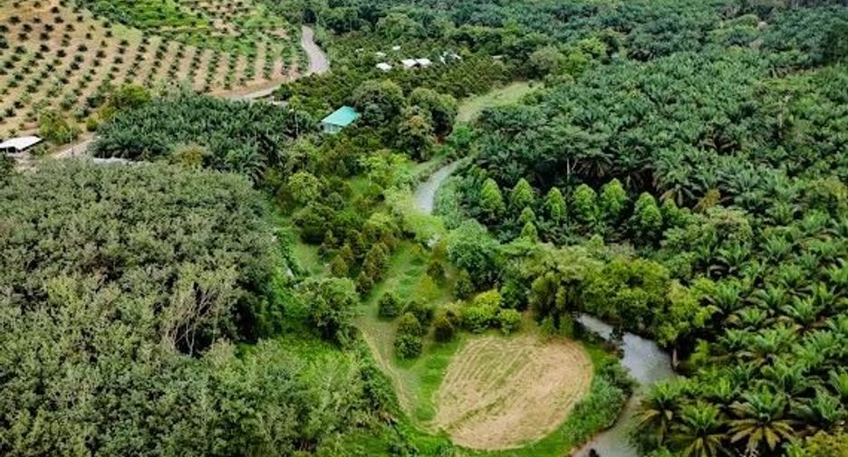 À vendre terrain à Mueang Phangnga, Phang Nga