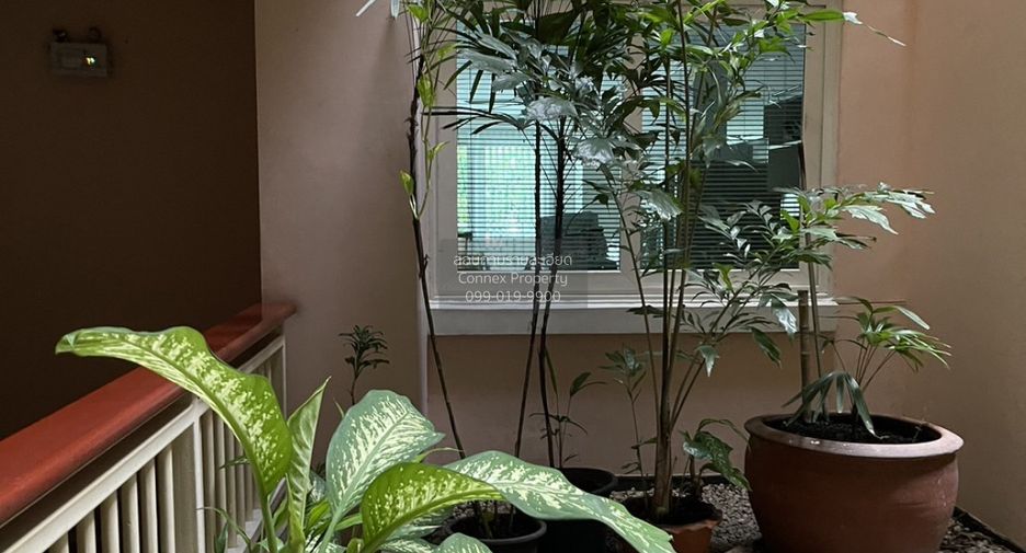 Продажа 1 кровать кондо в Щаттхана, Бангкок