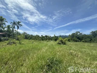 For sale land in Ko Samui, Surat Thani