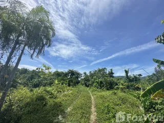For sale land in Ko Samui, Surat Thani