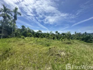 For sale land in Ko Samui, Surat Thani