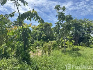 For sale land in Ko Samui, Surat Thani