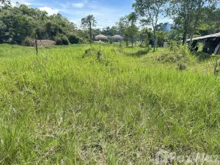 For sale land in Ko Samui, Surat Thani