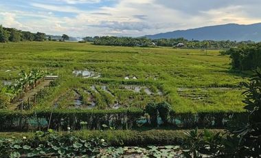 For sale land in San Sai, Chiang Mai