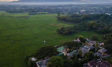 For sale land in San Sai, Chiang Mai