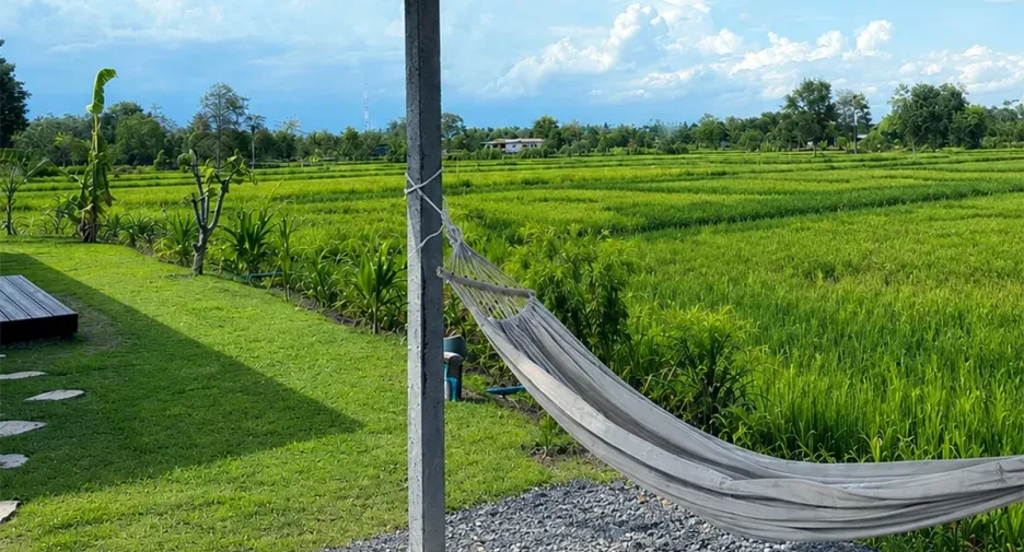 For sale 3 bedrooms house in Prasat, Surin