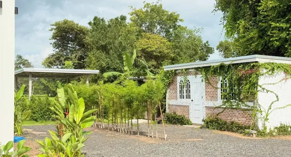 For sale 3 bedrooms house in Prasat, Surin