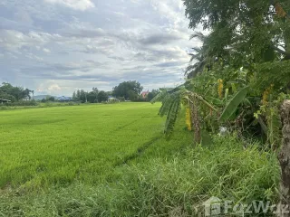 For sale land in Tha Muang, Kanchanaburi