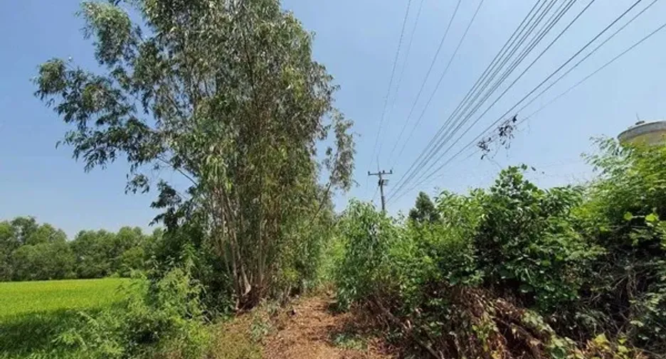 Продажа Участок в Bang Sai, Phra Nakhon Si Ayutthaya