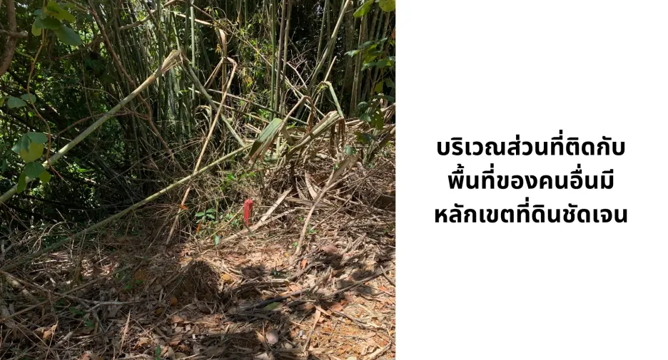 For sale land in Kapoe, Ranong