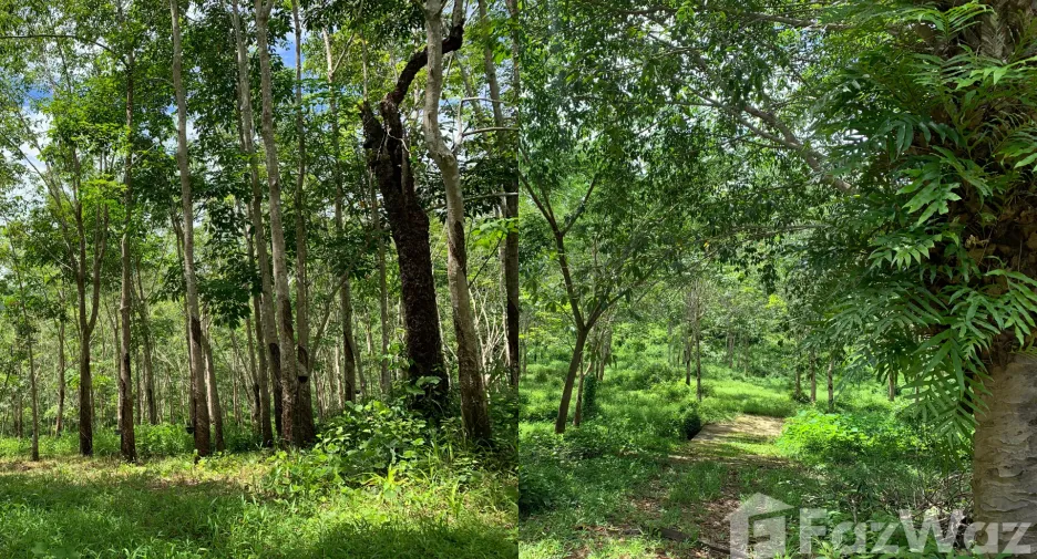 For sale land in Kapoe, Ranong