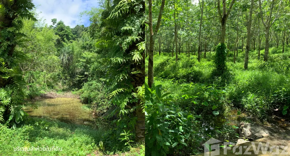 For sale land in Kapoe, Ranong