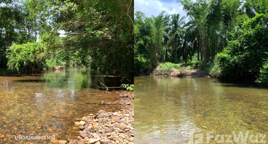 For sale land in Kapoe, Ranong