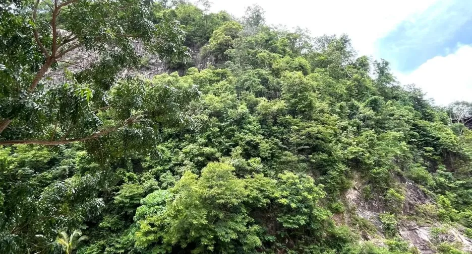 出售 和 出租 2 卧室 公寓 在 Phuket Town, 普吉
