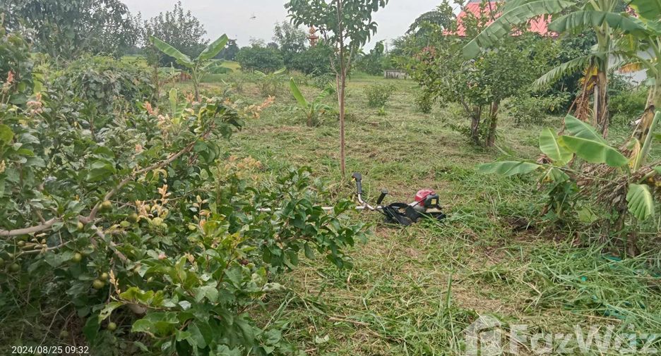 For sale 3 bedrooms house in Pak Thong Chai, Nakhon Ratchasima