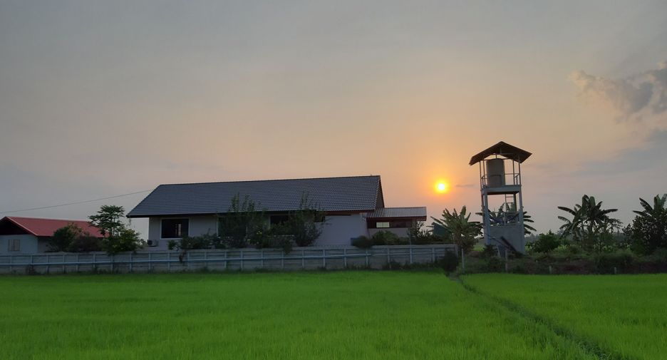 For sale 3 bedrooms house in Pak Thong Chai, Nakhon Ratchasima