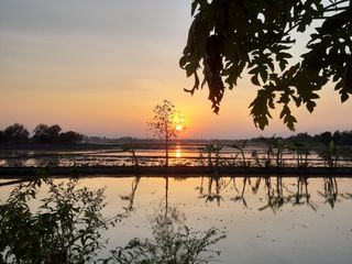 For sale 3 bedrooms house in Pak Thong Chai, Nakhon Ratchasima