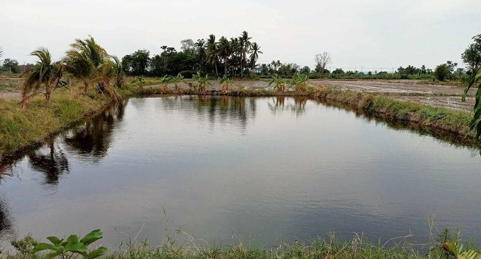 For sale 3 bedrooms house in Pak Thong Chai, Nakhon Ratchasima