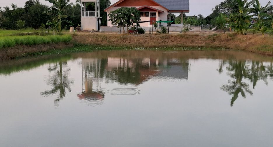 For sale 3 bedrooms house in Pak Thong Chai, Nakhon Ratchasima