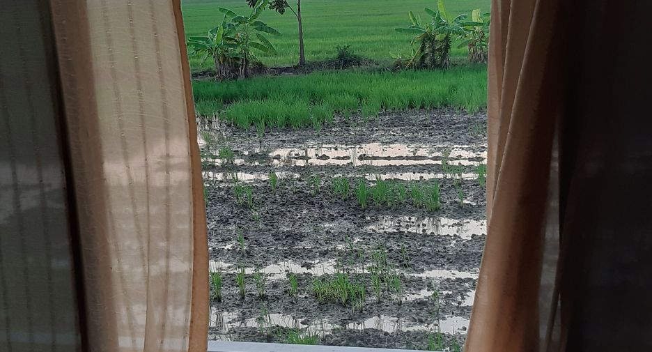 For sale 3 bedrooms house in Pak Thong Chai, Nakhon Ratchasima