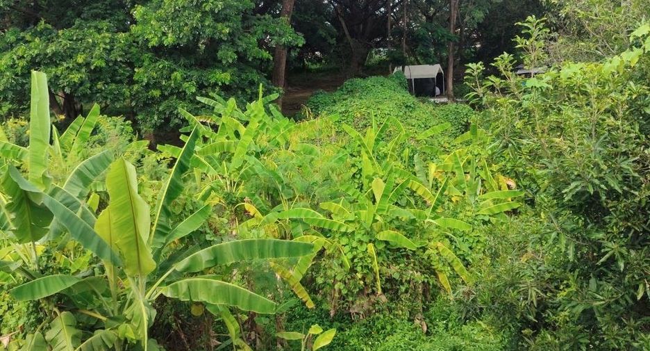 Villa zur Miete mit 4 Zimmer in Mueang Chiang Mai, Chiang Mai