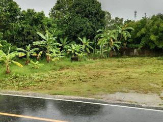 For sale land in Thalang, Phuket