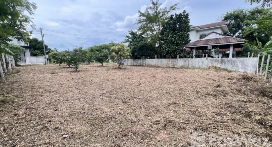 For sale land in Mueang Khon Kaen, Khon Kaen