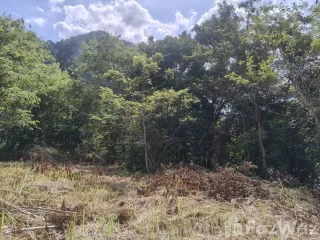 Terreno en venta en Pak Chong, Nakhon Ratchasima