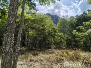 Terreno en venta en Pak Chong, Nakhon Ratchasima