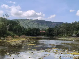 Terreno en venta en Pak Chong, Nakhon Ratchasima