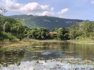 Terreno en venta en Pak Chong, Nakhon Ratchasima